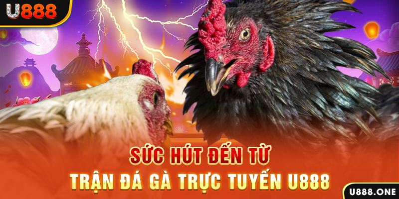 88cbl đá gà trực tiếp c1