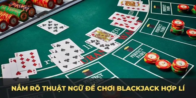 88cbl c1 gà chọi