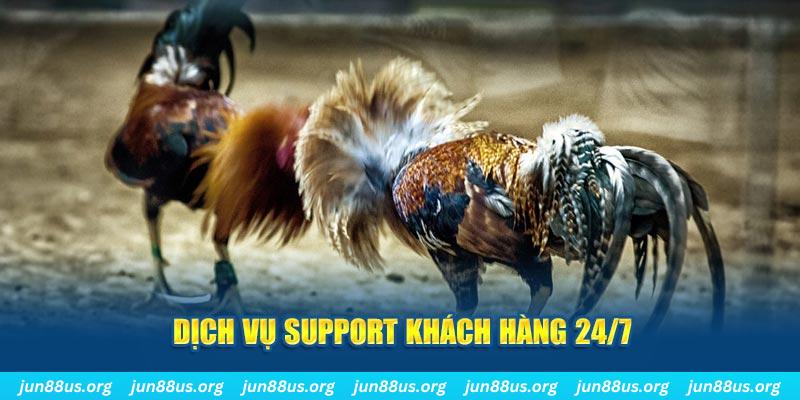 88cbl ÁT CHỦ BÀI GIÀNH LẤY ZHUANG NIUNIU ( XEM 4 LÁ )
