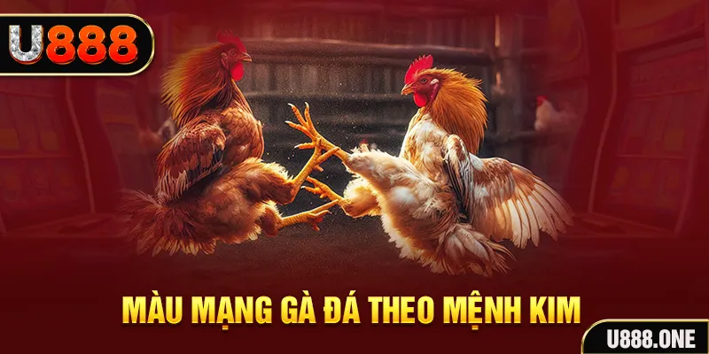 88cbl Cỡ bảy