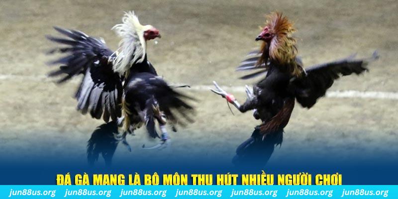 88cbl bắn cá au88