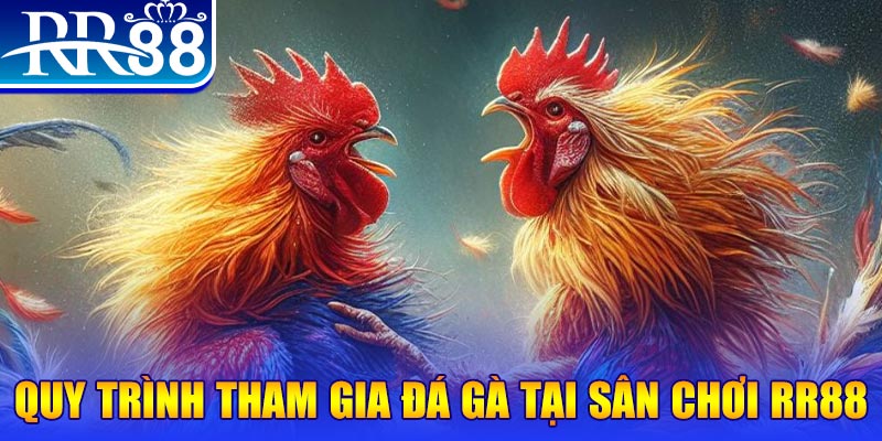 88cbl đá gà cam 67