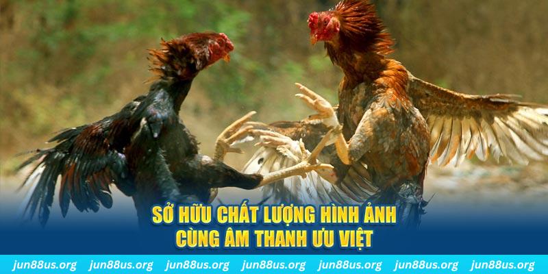 88cbl PP Điện Tử