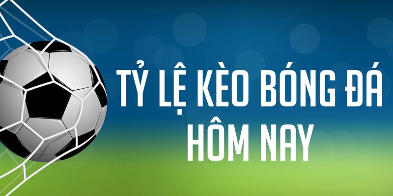 88cbl gà chọi c1 mới nhất