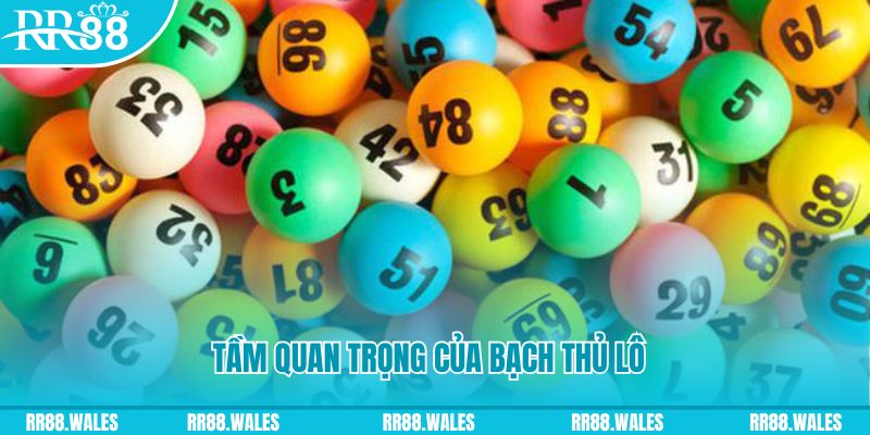 88cbl xổ số an giang