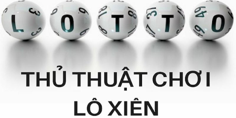 88cbl trực tiếp đá gà thomo