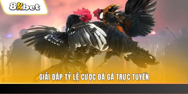 88cbl xổ số đài miền trung
