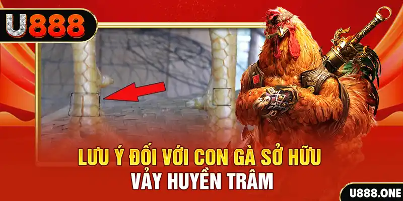 88cbl kết quả xổ số miền nam hôm nay