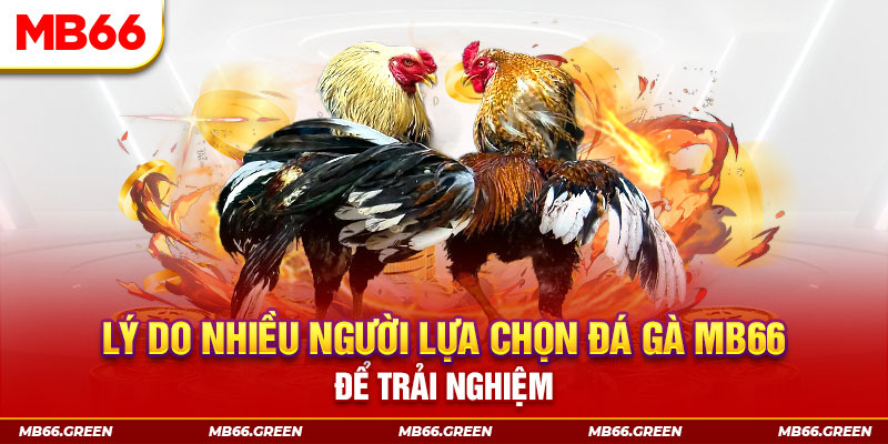 88cbl xổ số miền bắc thứ bảy hàng tuần