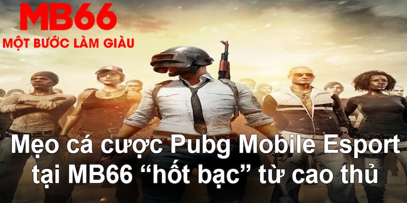 88cbl VA Bắn cá