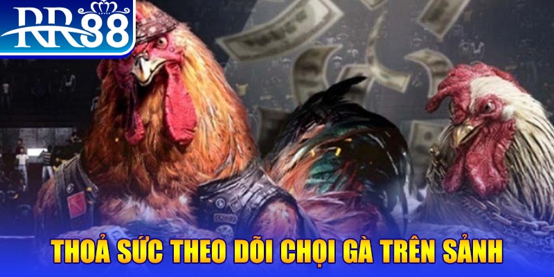 88cbl trực tiếp đá gà c1
