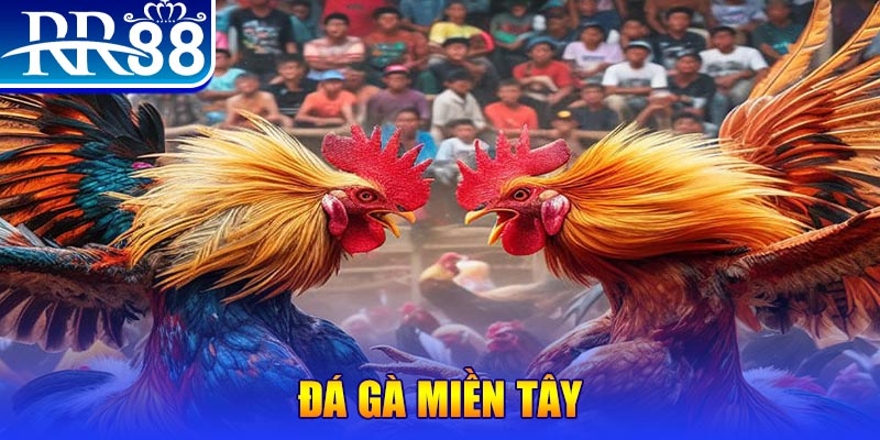 88cbl no hu doi thuong ai