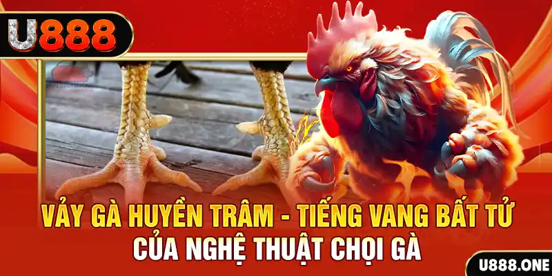 88cbl xổ số miền bắc ngày hôm nay