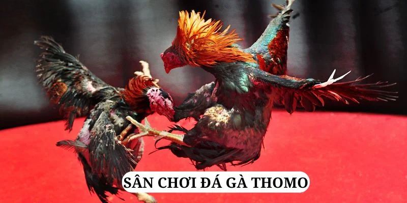 88cbl trực tiếp xổ số miền bắc